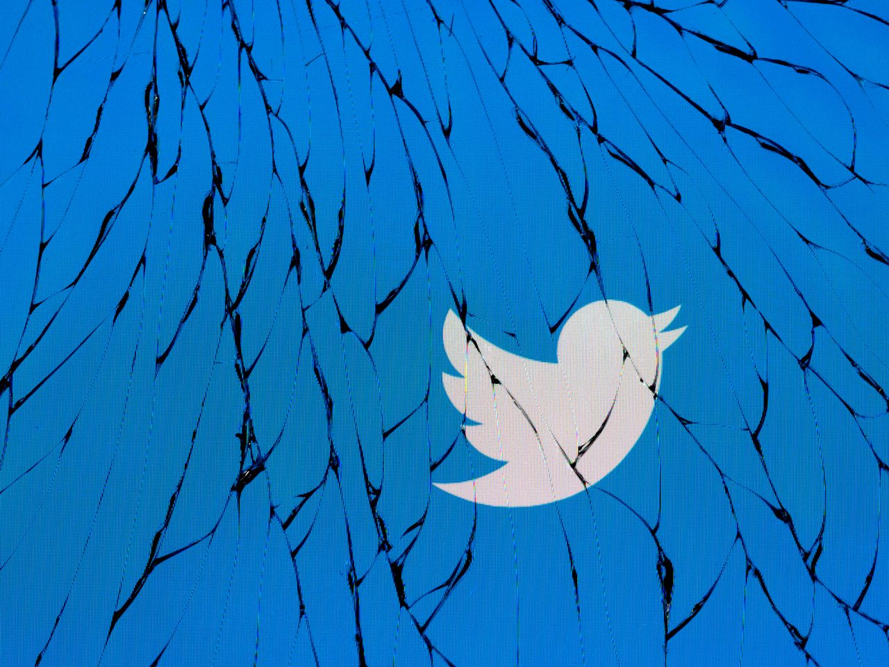 The Twitter logo.