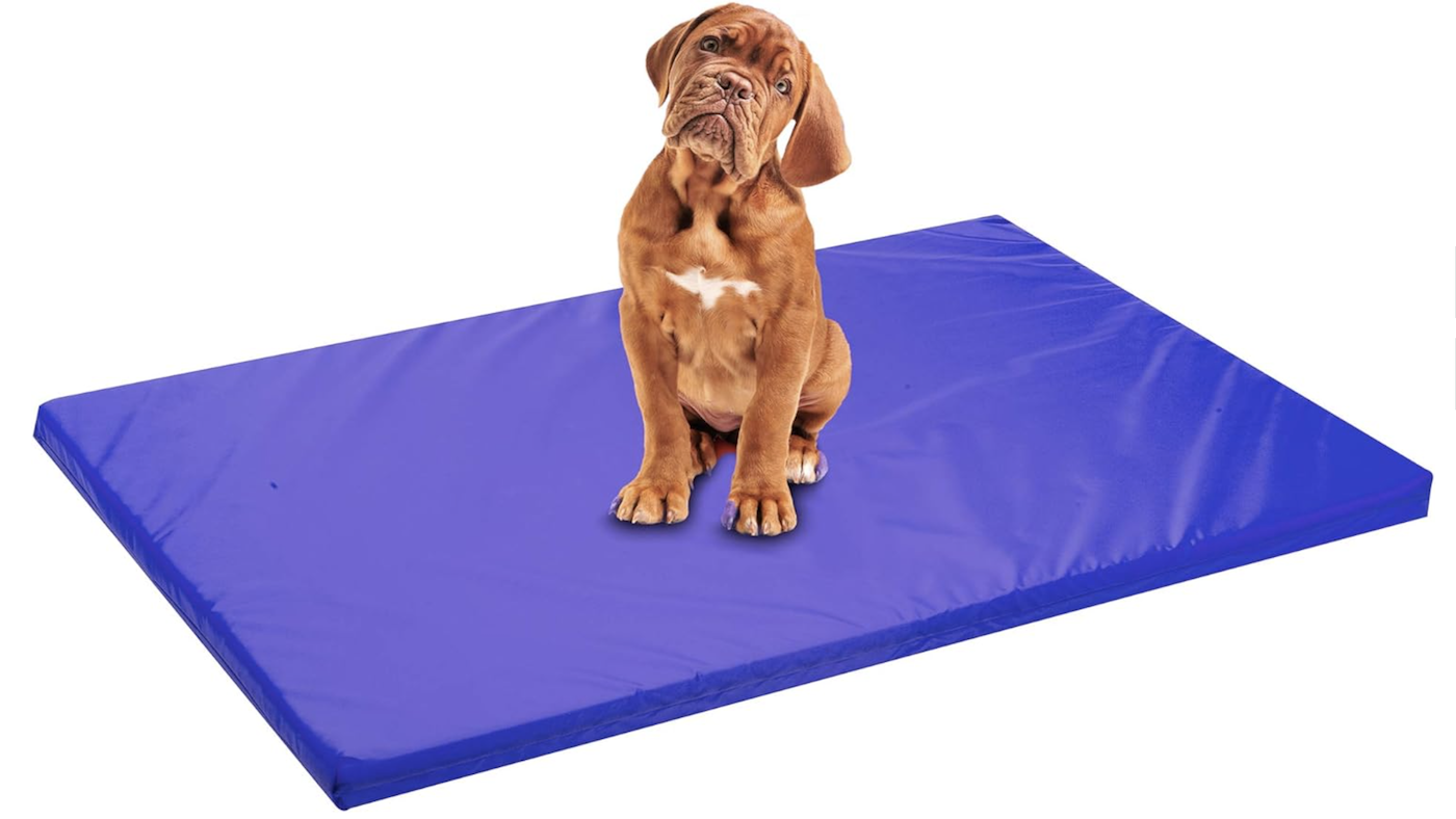 Sapphire blue dog bed for crate