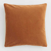 Velvet throw pillow, H&amp;M Home