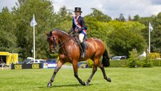 2024 RIHS supreme riding horse championship