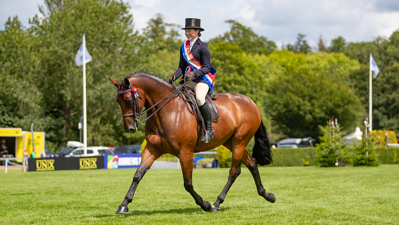 2024 RIHS supreme riding horse championship