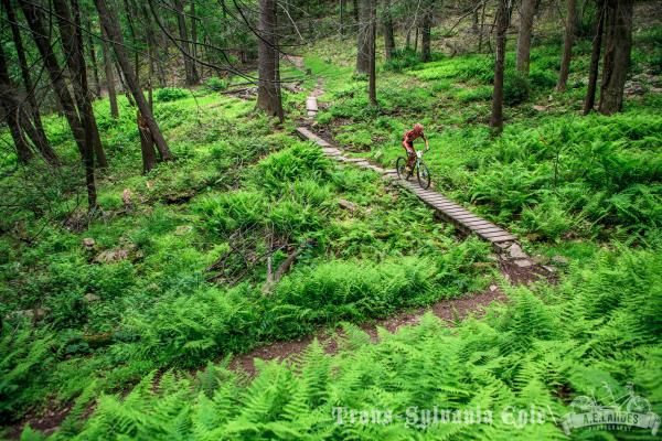 The Trans-Sylvania serves up some incredibly lush green scenery