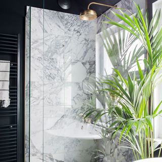 bathroom with shower cabin white and grey wall and plant