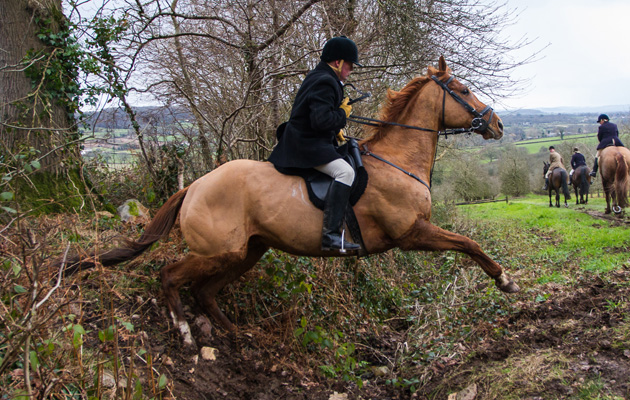 Taunton Vale Harriers meet at Clayhidon, Wellington, Somerset on 3rd February 2015