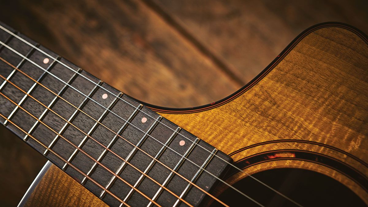 Breedlove Eco Pursuit EX S Concert Sweetgrass review | Guitar World