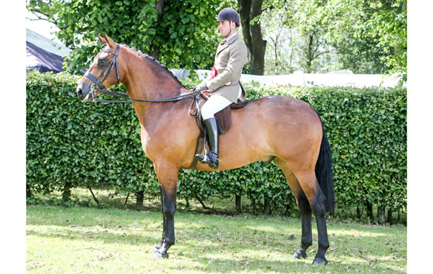 ROYAL HIGHLAND SHOW 2018