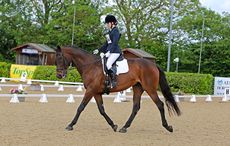 094a4591zWendyHarpurforHH.jpg