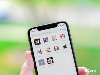 Safari search bar iPhone X
