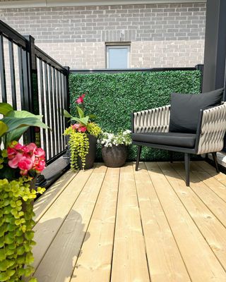 Balcony with chair and foliage wall