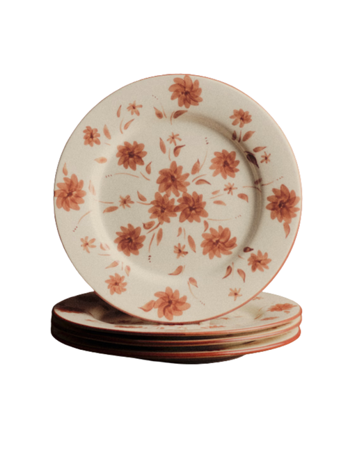 Set of 4 dinner plates