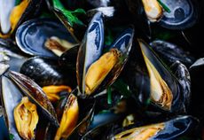 Close up shot of cooked blue mussels