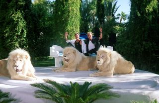 Siegfried and Roy at home with some of their lions.
