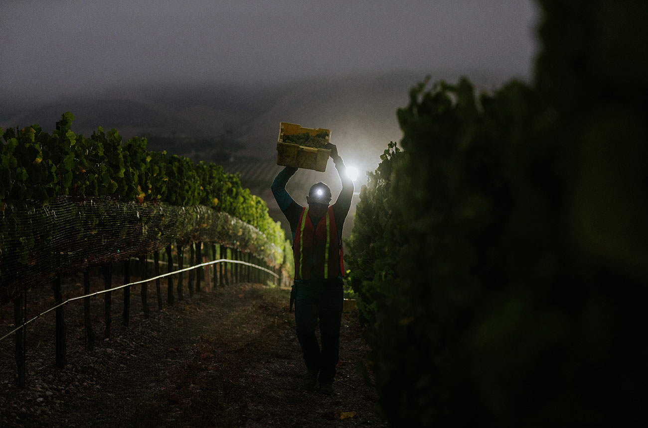 wine photographer of the year shortlist 2025