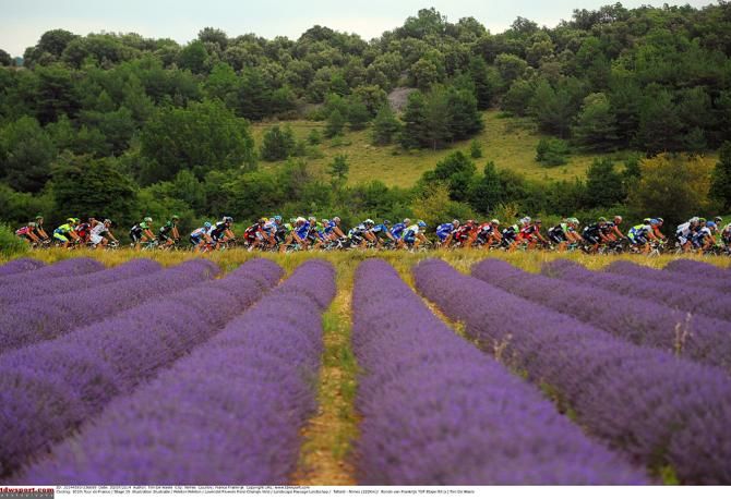 The peloton rides by scenic fields