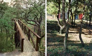Raised wooden walkway on wooden truts and view of a multi-coloured structure through some trees
