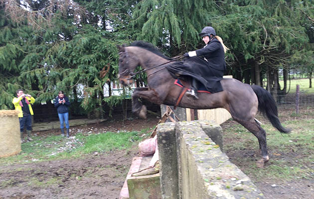Evelyn Glynn hunting her 19-year-old mare out with the Edenderrys Harriers