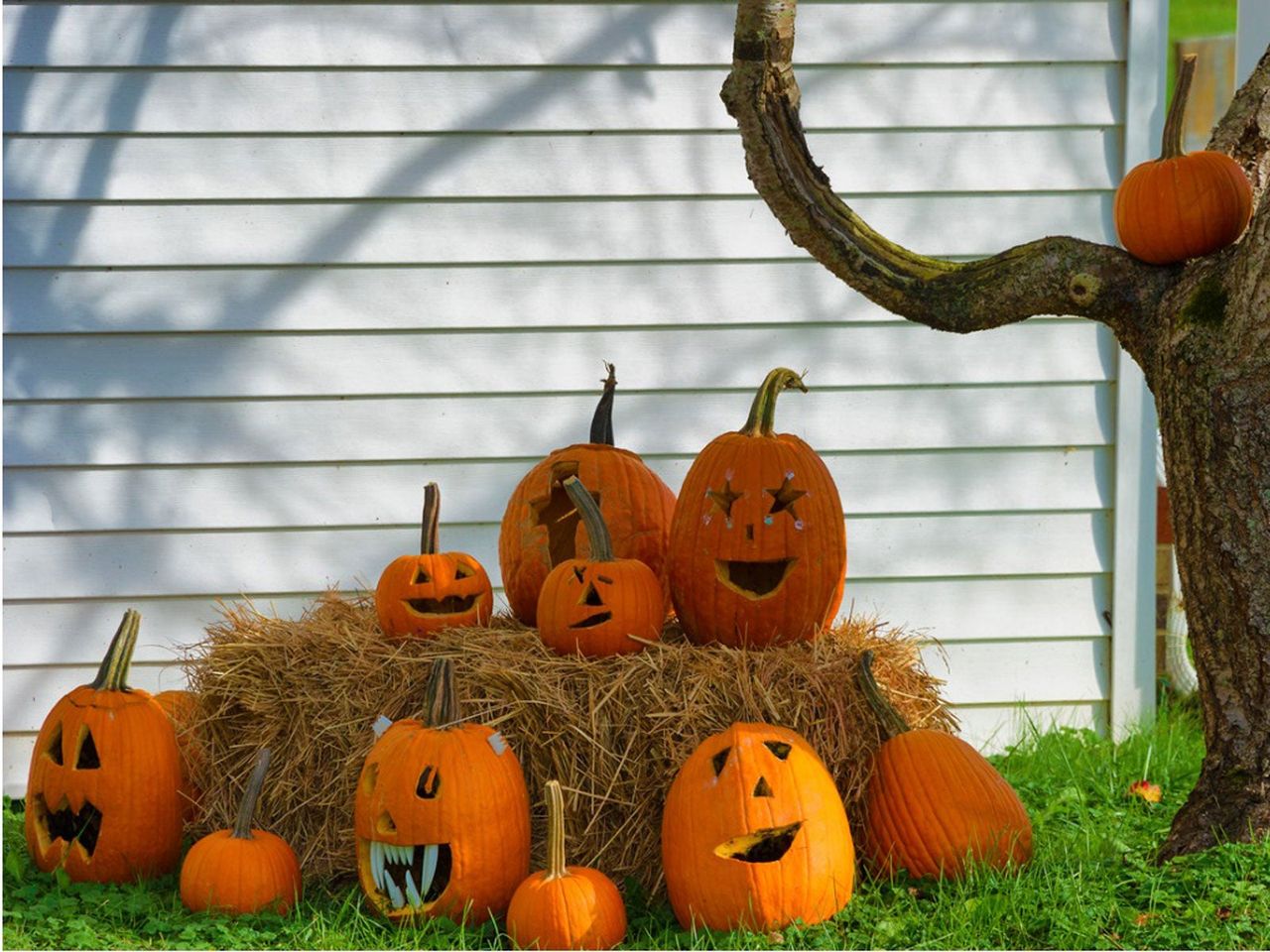 Multiple Carved Pumpkins On Hay Bale