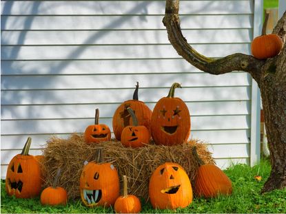 Multiple Carved Pumpkins On Hay Bale