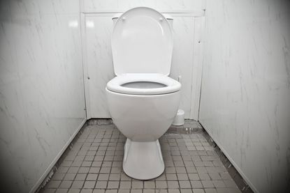 toilet