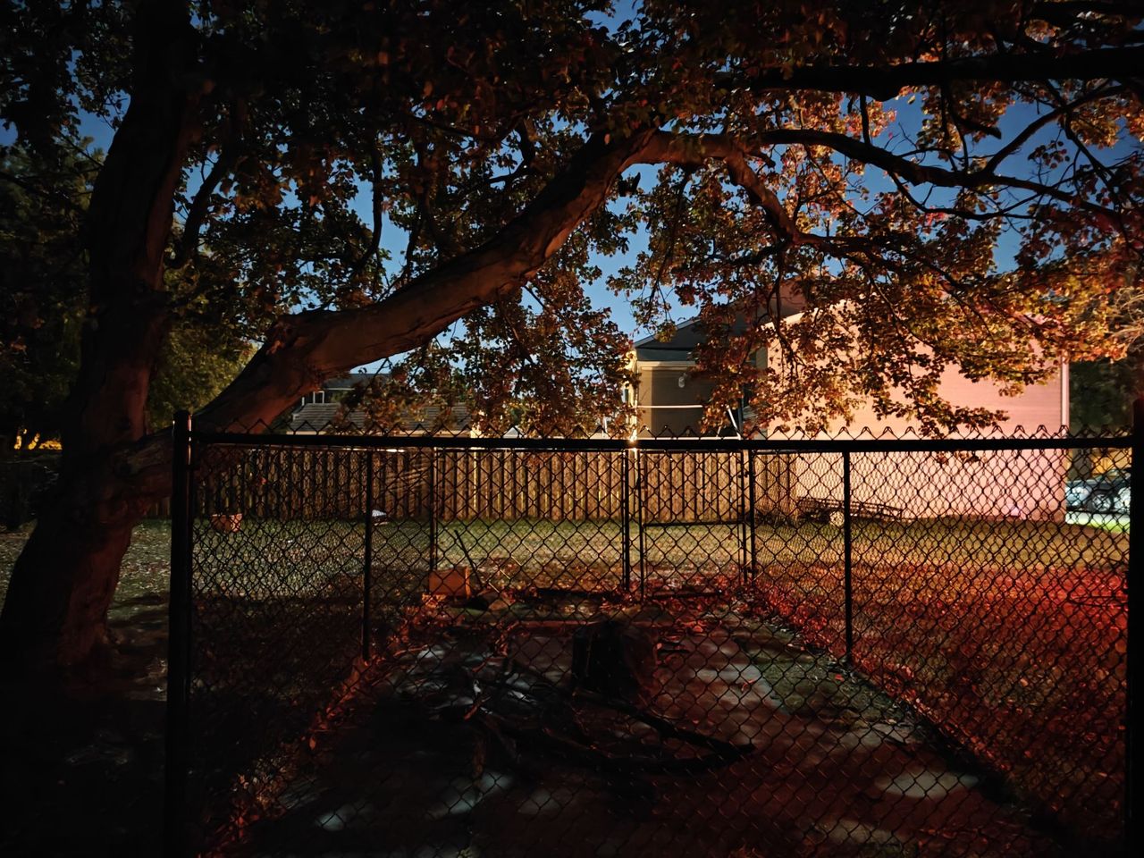 OnePlus 12 low light sample.