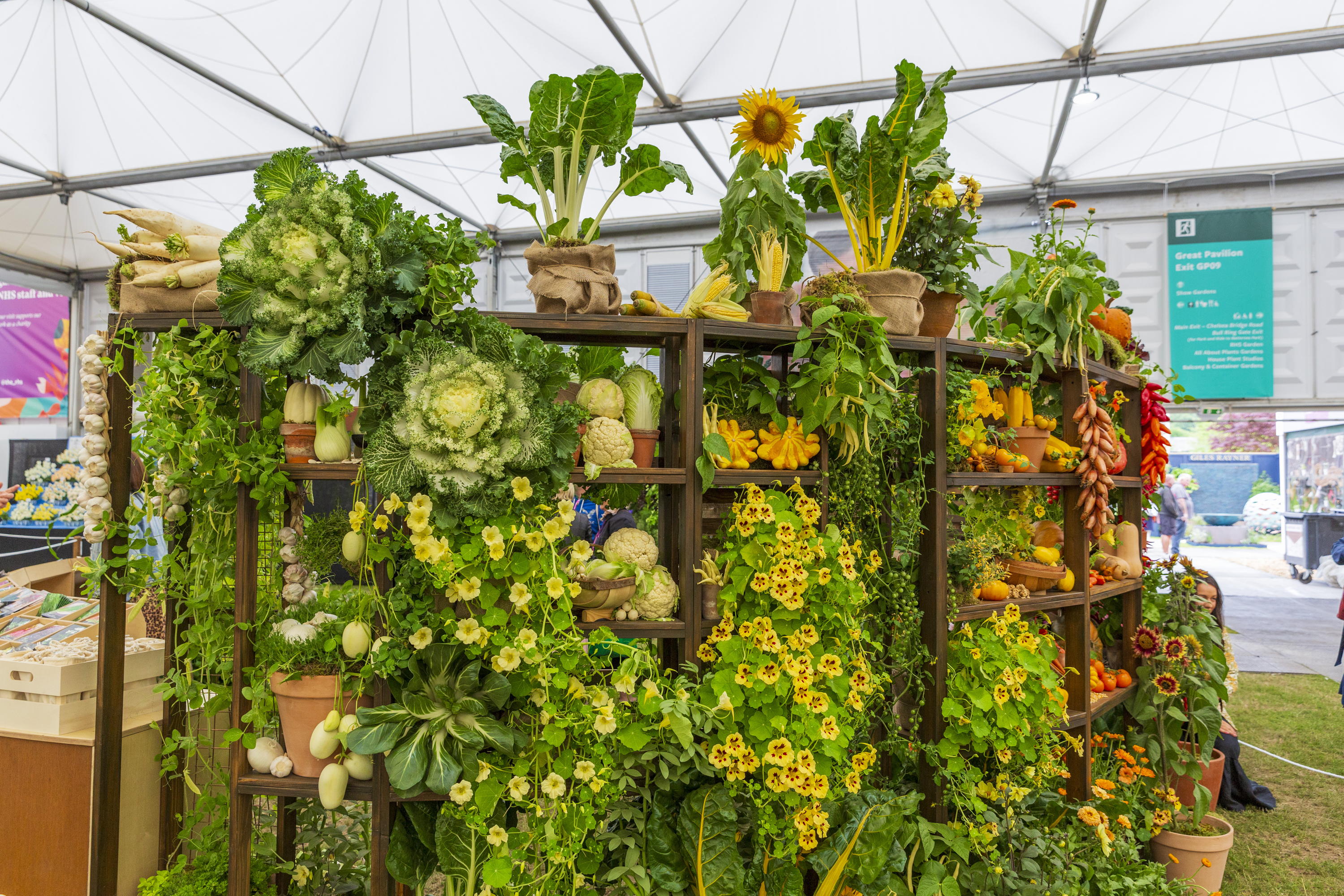 She Grows Veg in the Grand Pavilion at Chelsea Flower Show 2025
