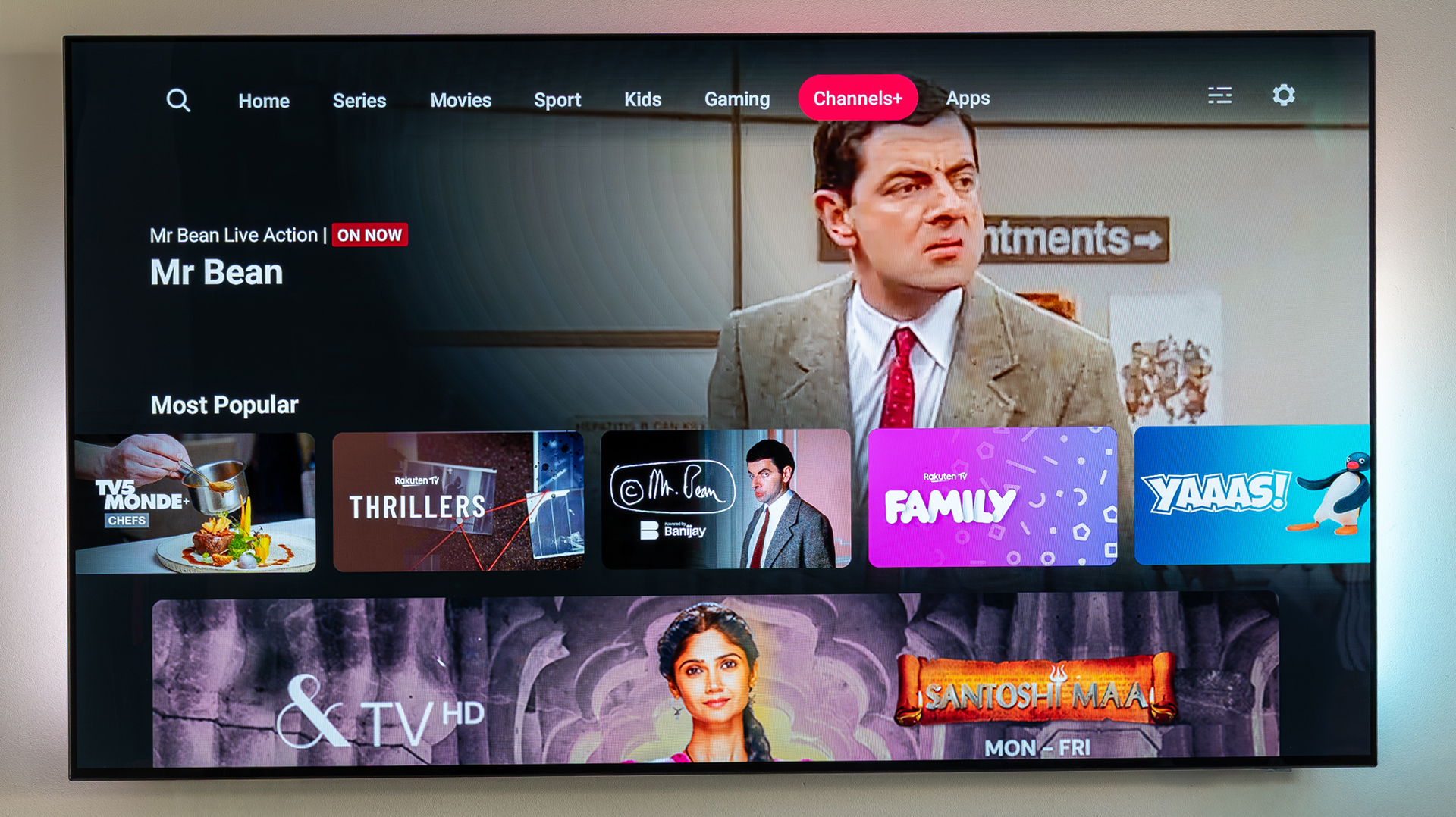 Netgem Pleio review image