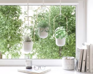 Plants hanging in front of a bright window in white pots with metal accents