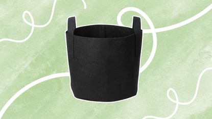 A black Amazon grow bag on a light green washed background with white swirled lined around it