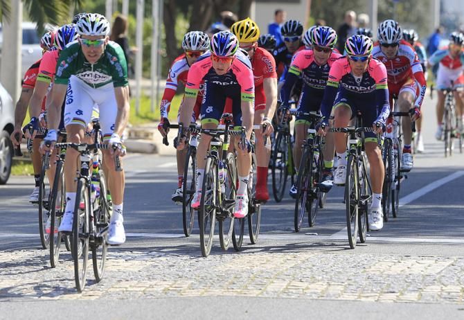 Rui Costa and the Lampre-Merida team at the front
