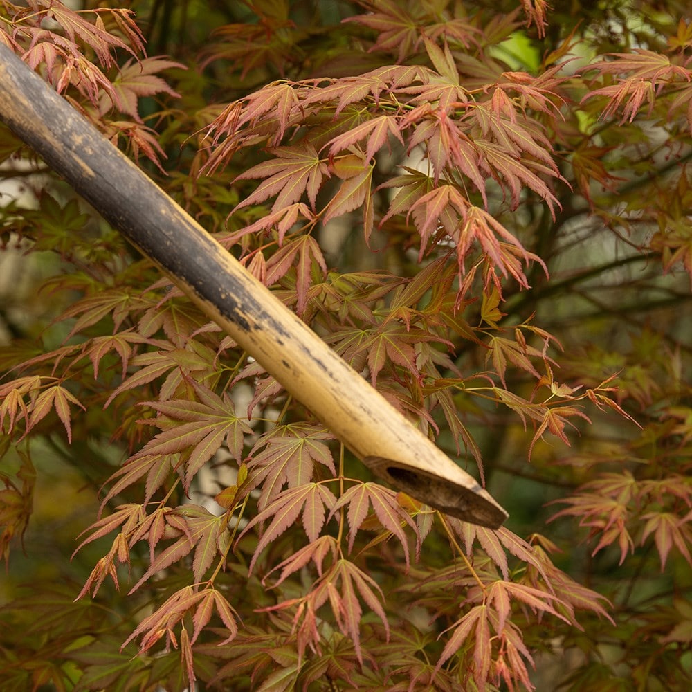 Bamboo Tree Stake