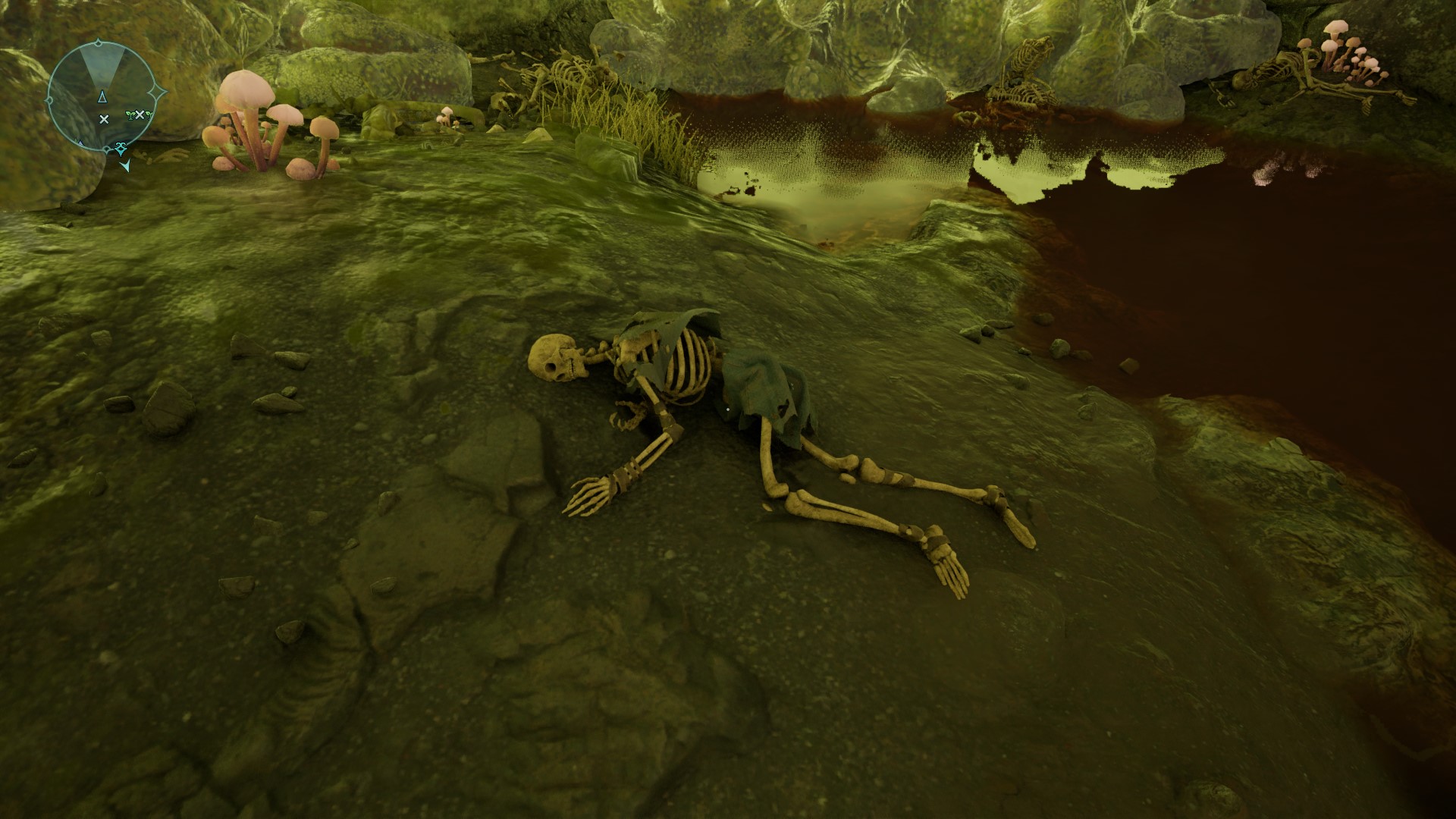 Skeleton lying on rock