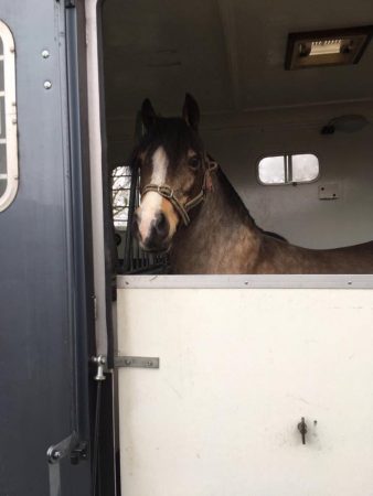 bam-off-to-stud-e1515766163367.jpg