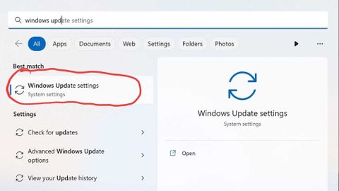 Latest Windows 11 Update Slows Some SSDs To A Crawl - Here's How To Fix ...