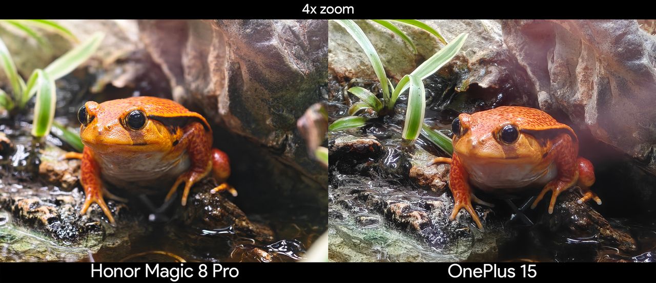 Comparing 4x zoom between the Honor Magic 8 Pro and OnePlus 15 in a science museum