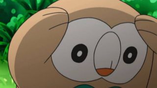 Rowlet looking stressed in the Pokemon anime.