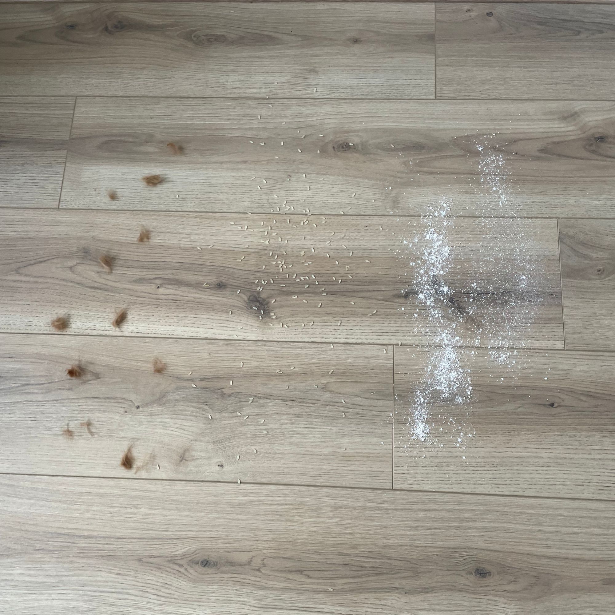 Debris sprinkled on wood-effect floor