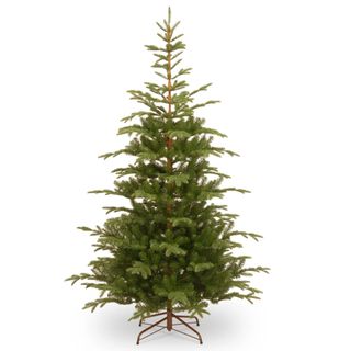 A Mercury Row 7.5' H Green Spruce Christmas Tree