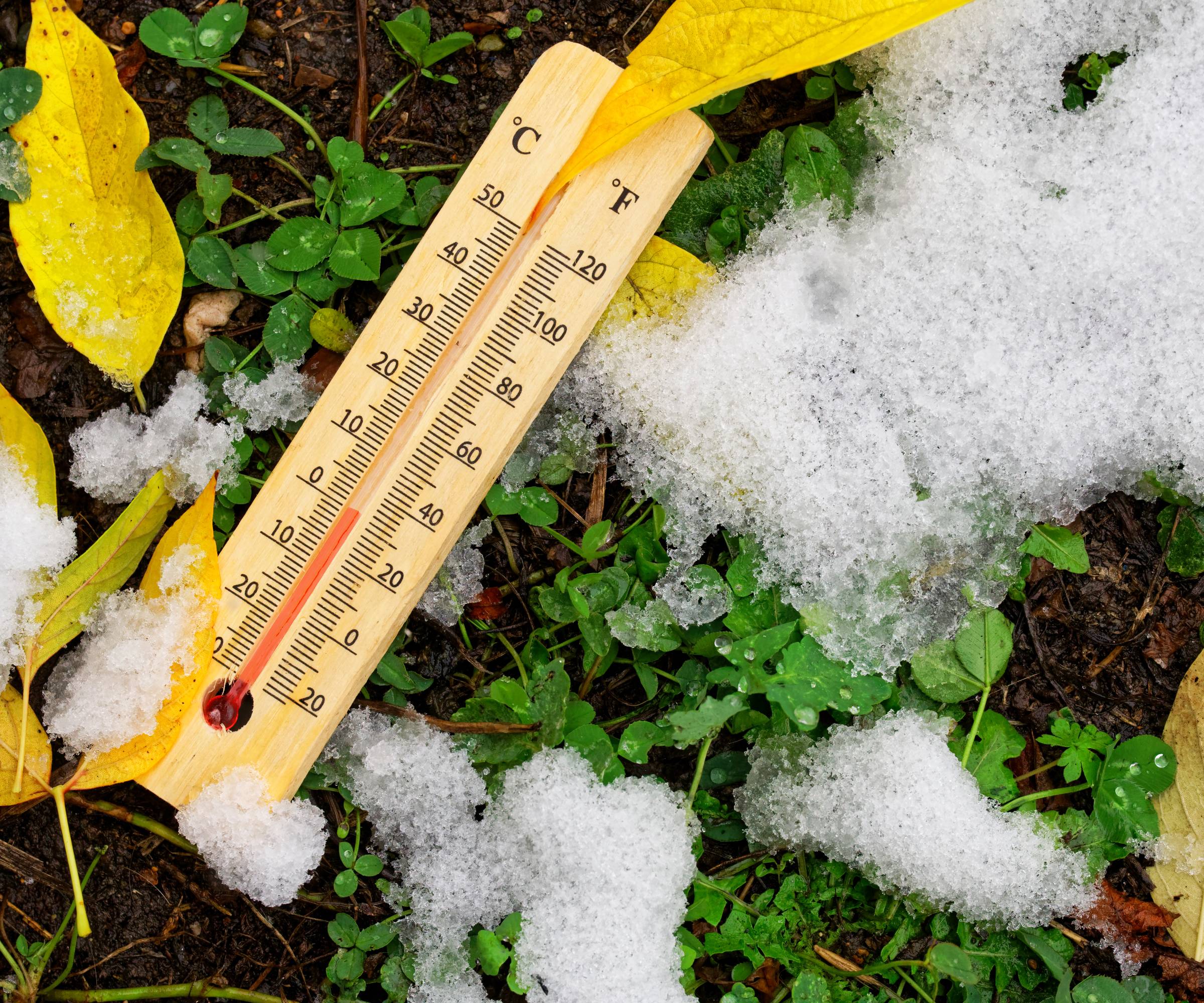 A thermometer reading 0 degrees Celsius lying on the snowy ground