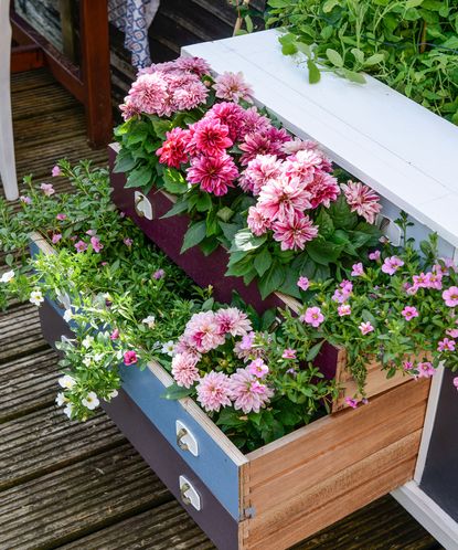 flowers kept in wooden drawers on wooden floor