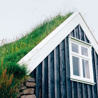 Pitched grass roof with black cladding and white windows