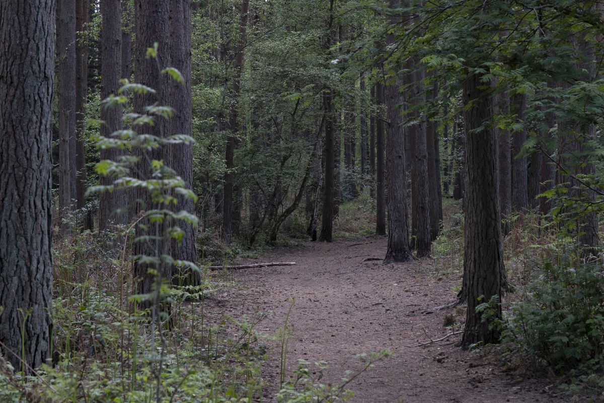 Fujifilm X-T4