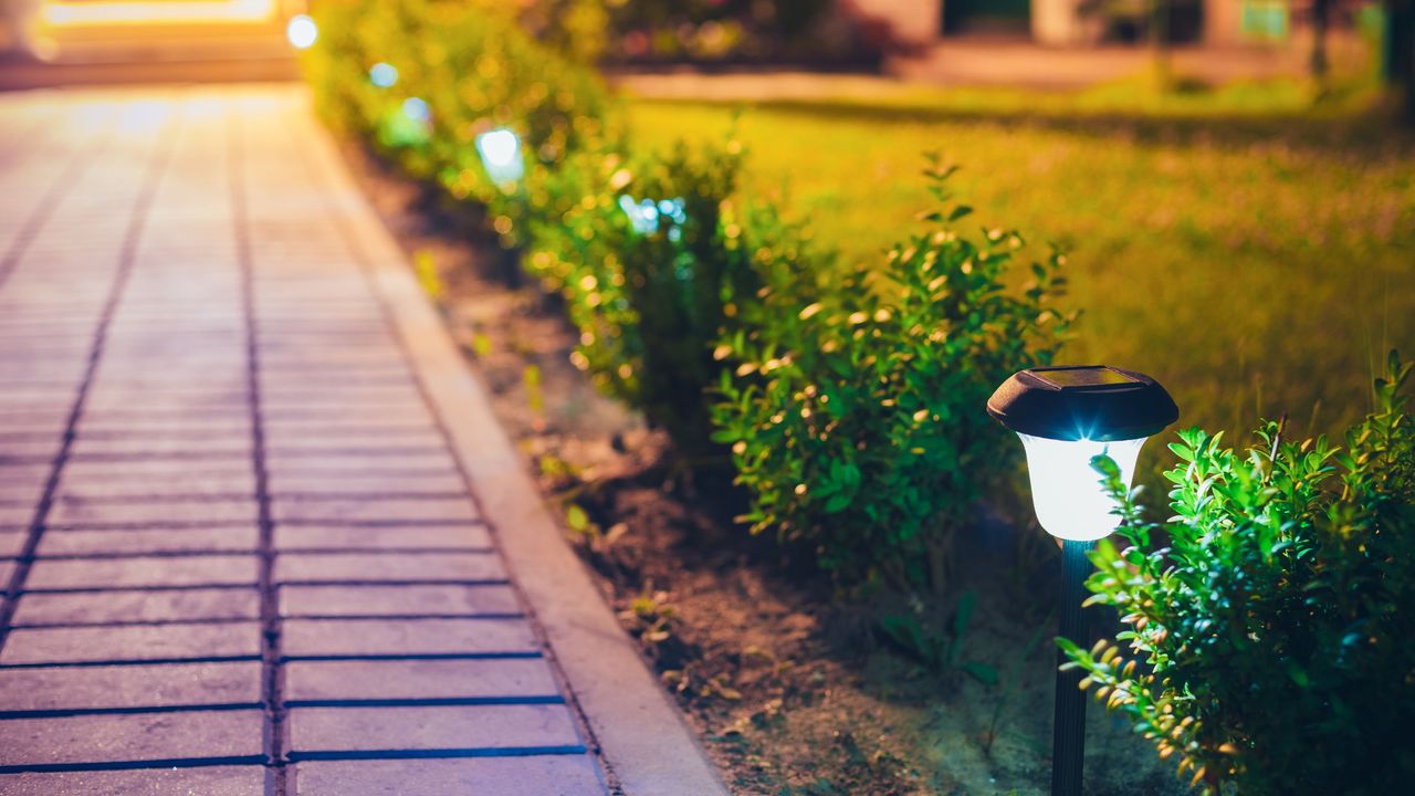 A garden path illuminated by solar lighting