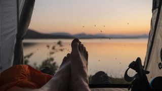 Mosquitos swarm outside a tent at dusk