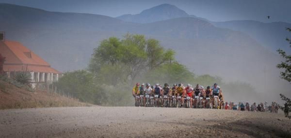The race's leaders in a bunch