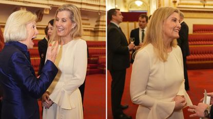 Composite of two pictures of Duchess Sophie wearing a cream ruffle sleeved dress at a Buckingham Palace reception on 29th January