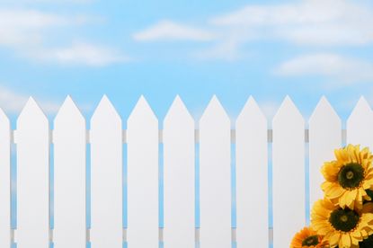 White picket fence and beautiful cloud filled sky punctuated with sunflowers to represent middle-class living