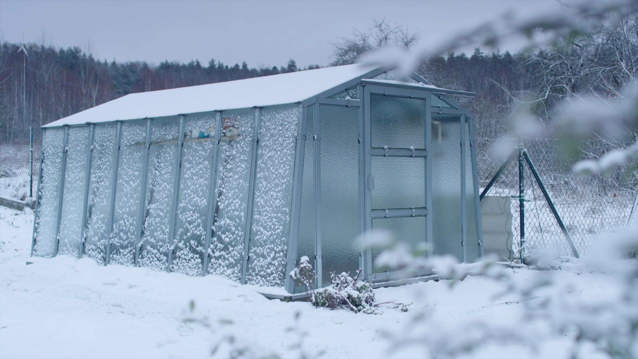 How to use a greenhouse in winter 