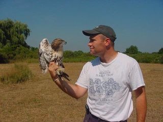 Professor James Hewlett with a juvenile male red-tailed hawk prior to being released.