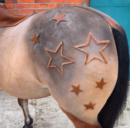 “This is a fun design for one of my younger clients who is an active member of the Pony Club” — Laura Pritchard