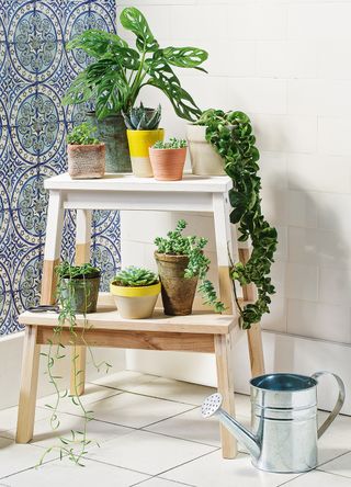 houseplants on an IKEA step stool with a silver watering can